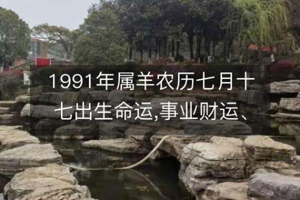 1991年出生属羊人的命运分析与性格特点