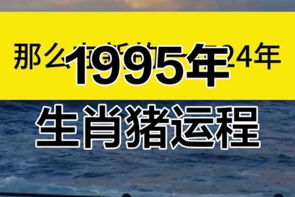 经典红烧肉的详细制作步骤与技巧分享